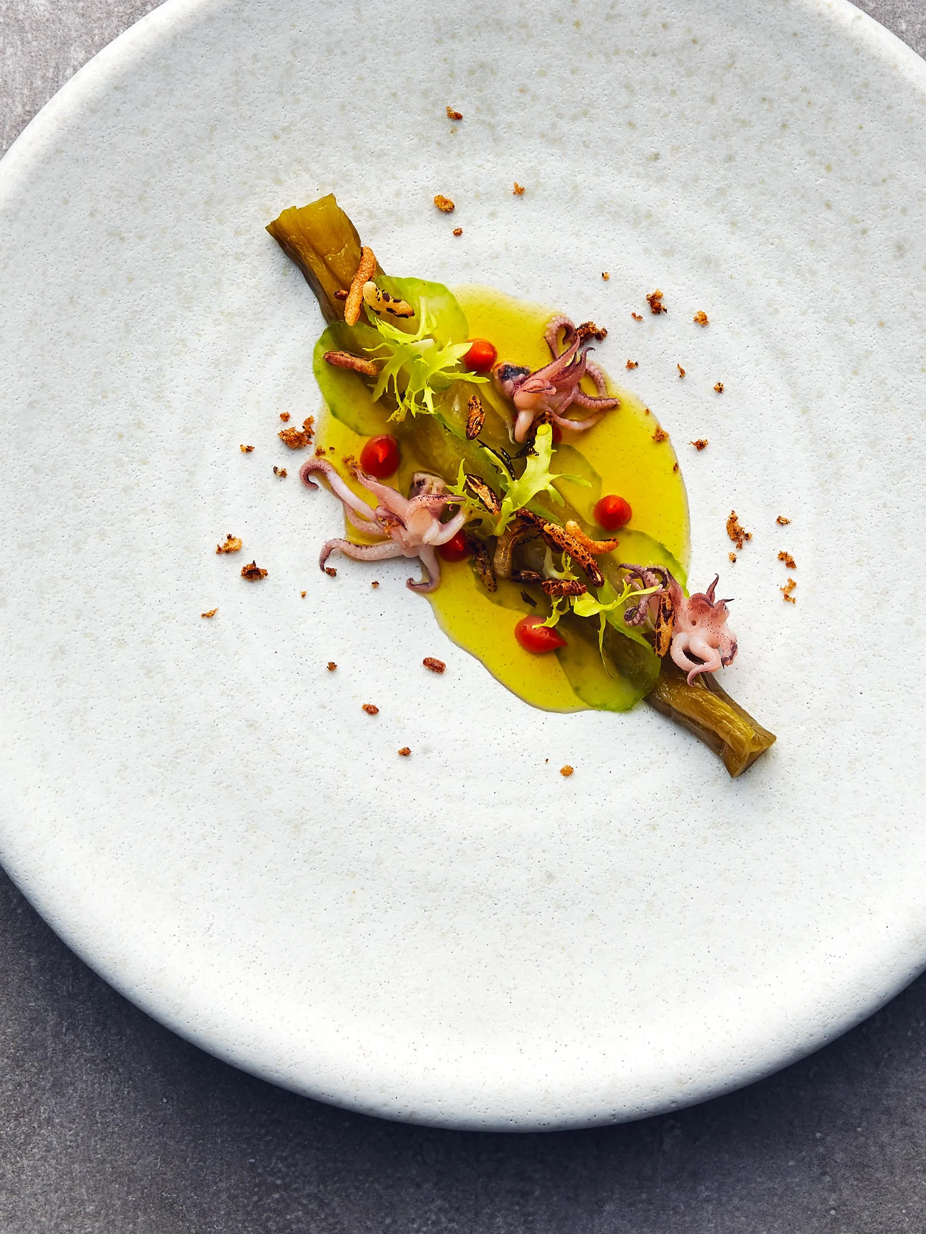 Rezeptbild "Gurke, Teesud, Tintenfisch, Gojibeeren" aus dem Kochbuch "Umami" von Heiko Antoniewicz