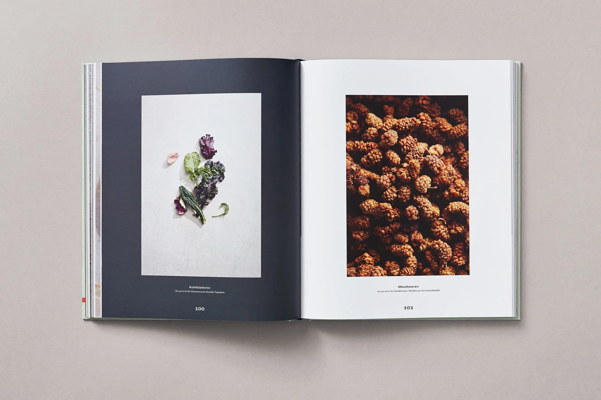 Doppelseite des Kochbuchs "Vegetarisch - Green Glamour" mit minimalistischen Fotos von Maulbeeren und Kohlblattmix