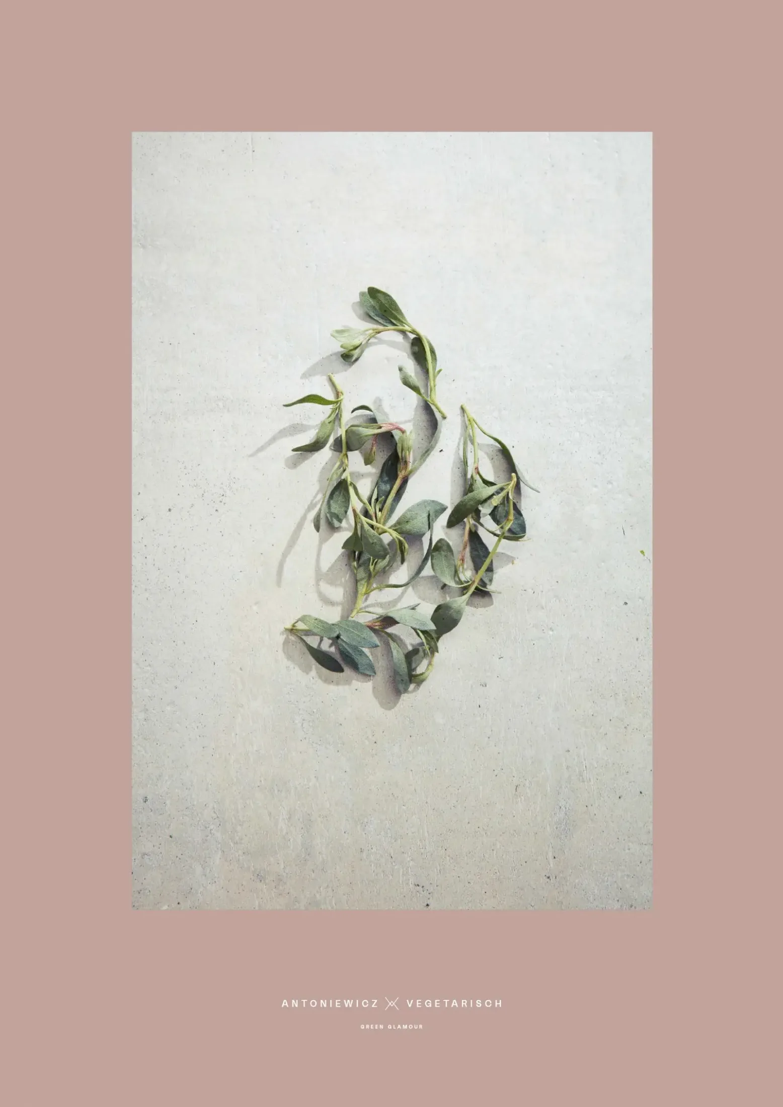 Animation von verschiedenen Postern mit Zutaten-Stills aus dem Kochbuch "Vegetarisch - Green Glamour" von Heiko Antoniewicz
